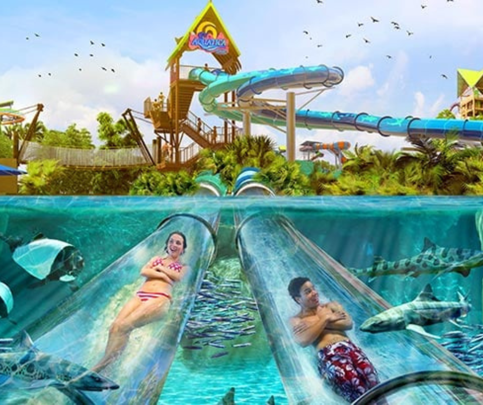 Things To Do Aquatica