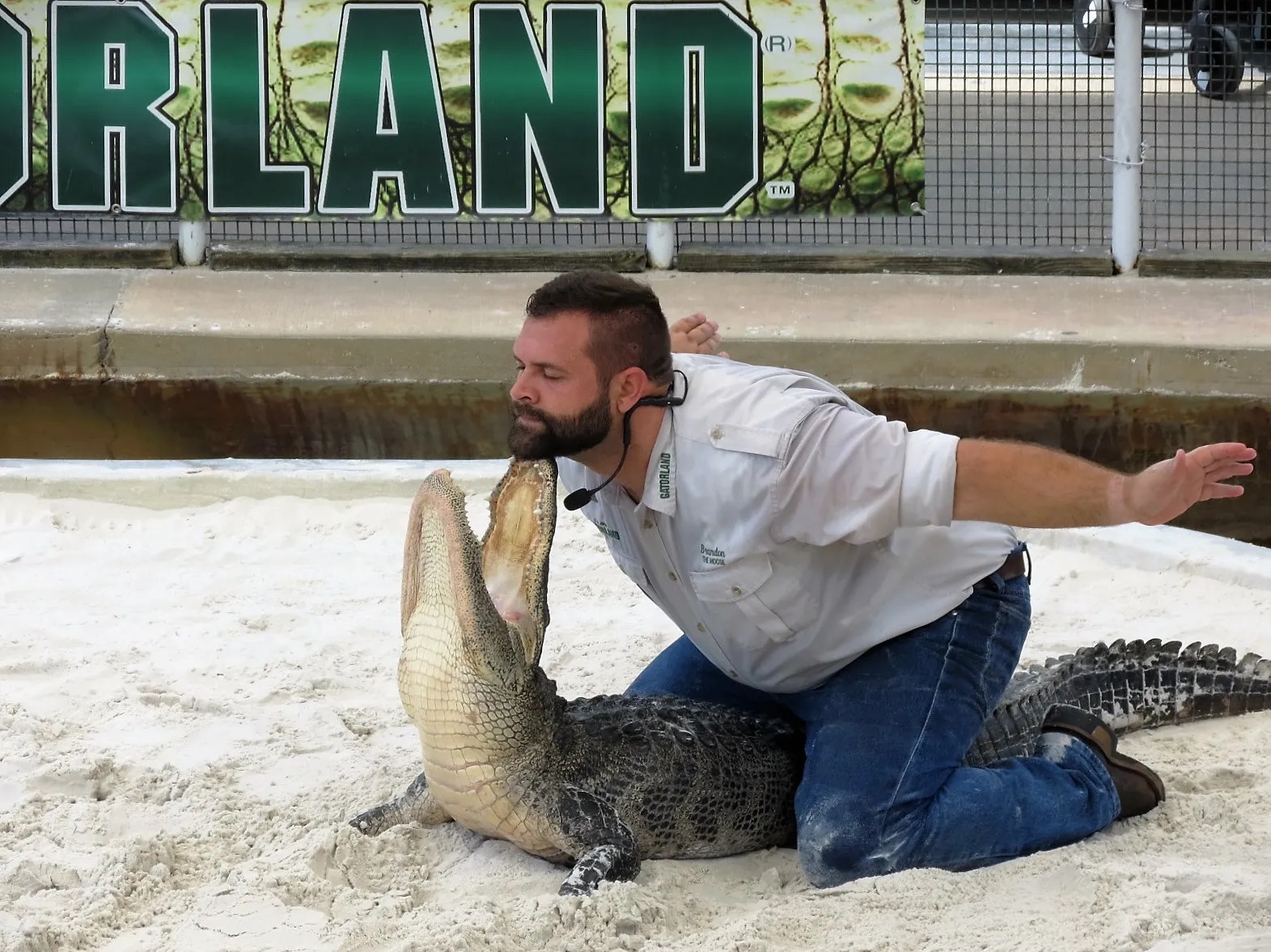 Things To Do Gatorland